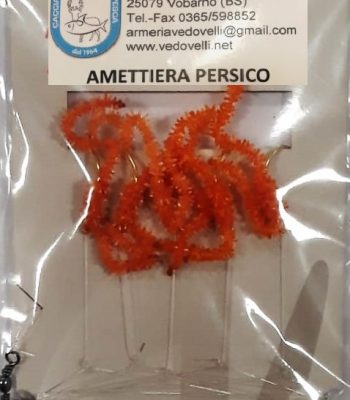 Amettiera PersicWorm Orange