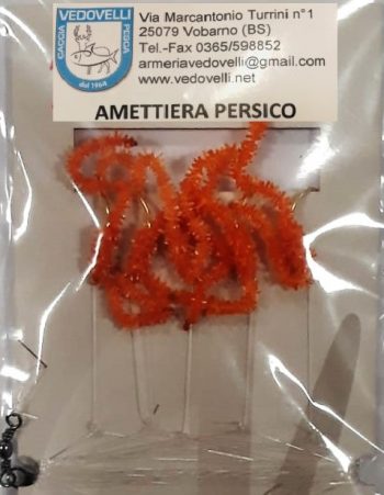 Amettiera PersicWorm Orange