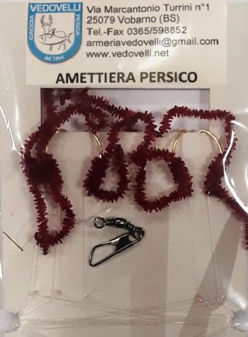 Amettiera PersicWorm Red
